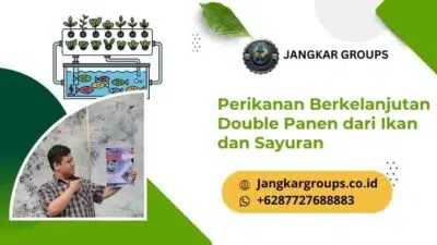 Perikanan Berkelanjutan Double Panen dari Ikan dan Sayuran