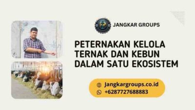 Peternakan Kelola Ternak dan Kebun dalam Satu Ekosistem