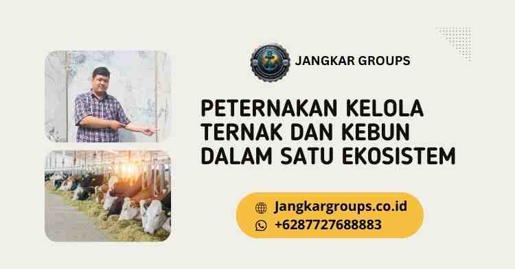 Peternakan Kelola Ternak dan Kebun dalam Satu Ekosistem