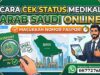 Cara Cek Status Medikal Saudi