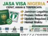 Jasa Visa Nigeria