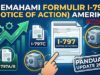 Formulir I-797 Amerika