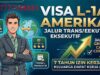 Visa L-1A Amerika