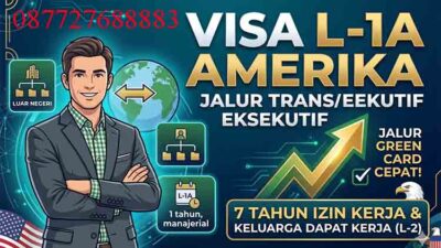 Visa L-1A Amerika