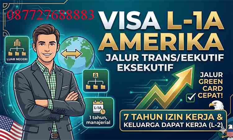 Visa L-1A Amerika