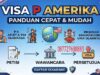 Visa P Amerika