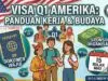 Visa Q1 Amerika