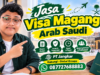 Jasa Visa Magang Arab Saudi