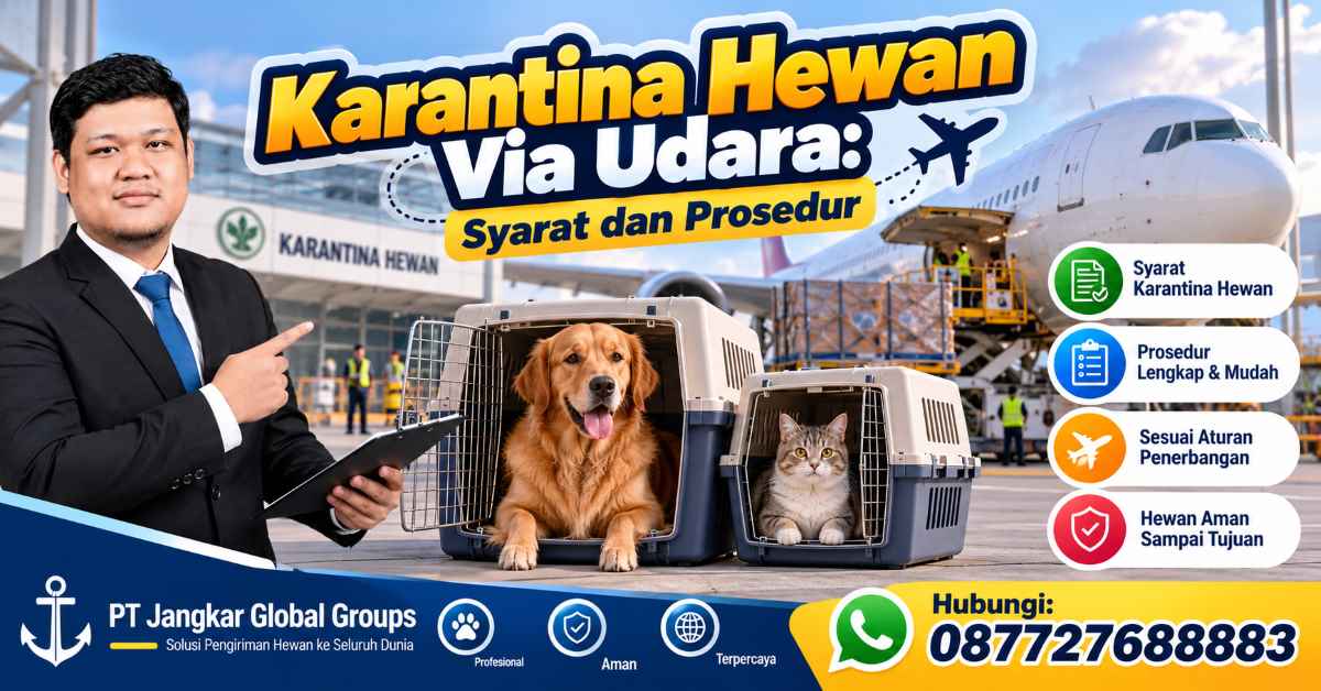 Karantina Hewan Via Udara Syarat dan Prosedur