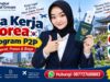 Visa Kerja Korea Program P2P Syarat Proses & Biaya