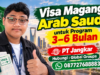 Visa Magang Arab Saudi untuk Program 3–6 Bulan
